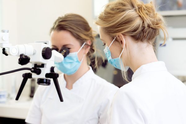 Cracks & Restauraties